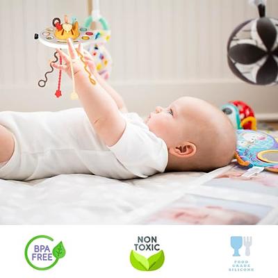 Montessori Toys for 1 2 3 Year Old, Baby Sensory Toys for Toddlers, Swan  Shape Toddler Travel Toys, Pull String Activity Toy Food Grade Silicone  Teething Toys, for Boys & Girls 