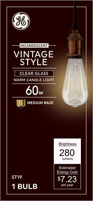 GE 60-Watt EQ ST19 Warm Candlelight Medium Base (e-26) Dimmable  Incandescent Light Bulb