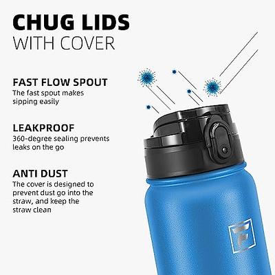JoyJolt Vacuum Insulated Water Bottle with Flip Lid & Sport Straw Lid - 32  oz Large Hot/Cold Vacuum Insulated Stainless Steel Bottle - Grey