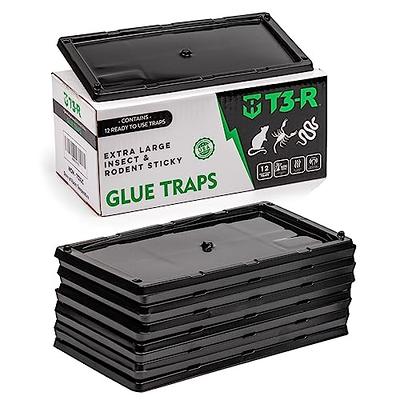 T3-R Sticky Traps for Bugs Extra Large (12 Pack) - Mouse and