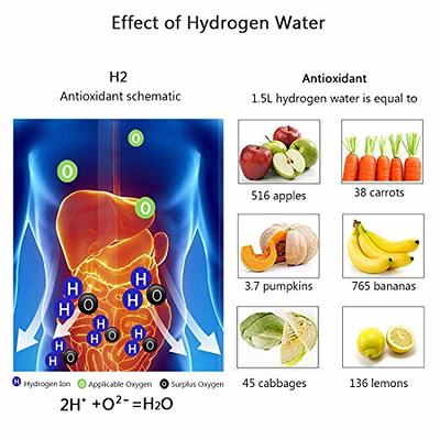 Hydrogen Water Bottle, Portable Hydrogen Water Ionizer Machine, Hydrogen  Water Generator, Hydrogen Rich Water Glass Health Cup for Home Travel