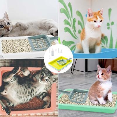 6pcs Kitten Litter Box, Plastic Cat Litter Trays Colorful Kitten Litter Pan  Cat Waste Tray for Indoor Kittens (6 Colors) - Yahoo Shopping