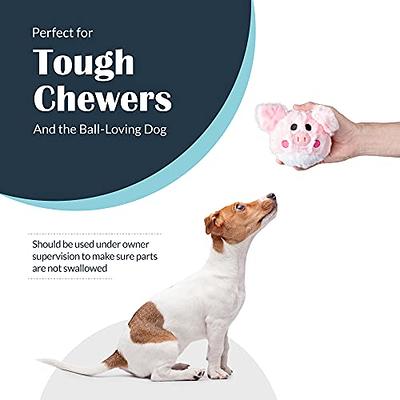 PETIZER Dog Toys for Aggressive Chewers, Non Squeak Dog Chew Toys, Interactive  Dog Toys, Dog Teething Toys Made with Nylon and Rubber for Small/Medium/Large  Dogs –