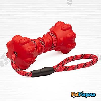 Interactive Dog Chew Toy for Aggressive Chewers Tough Durable Hard Dog Toys  Non-Toxic Bone Clean
