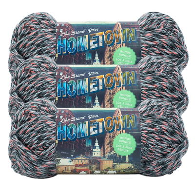 Lion Brand Yarn Hometown Bonus Bundle Salem Creek Super Bulky