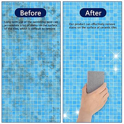 Pool Blok Pumice Stone Tile and Concrete Cleaner - USA