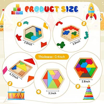  Wooden Shapes Puzzles Blocks Geometric Brain Teaser