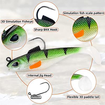 Grub Bait Lures Fishing Jigs Head Hooks Kit - 17pcs Soft Plastic Worm  Fishing Lure Tubes Baits for Bass Trout Walleye Pike Crappie