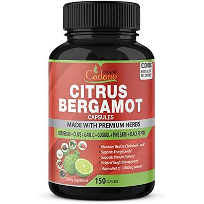  The Good Patch Menstrual and Period Support - Sustained Release  Plant Powered Period Patch with Hemp Extract, Black Cohosh and Black Pepper  (8 Total Patches) : Health & Household