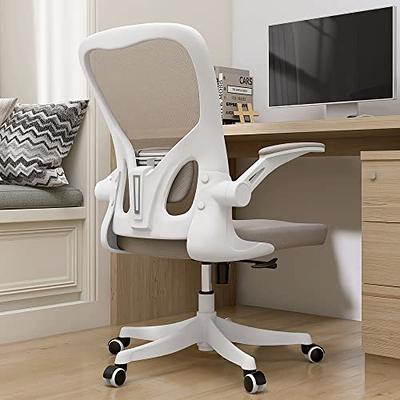 Winrise Office Chair Desk Chair, Ergonomic Mesh Computer Chair