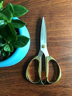 Horsvill Garden Shears, Japanese Pruning Shears for Heavy Duty, Flowers  Herbs Grapes Plant and Branch Cutters, Clippers, Trimmers, Scissors (Green)