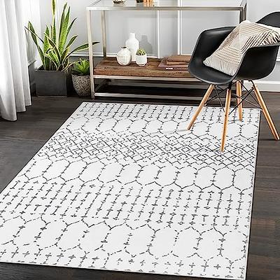 Lahome Entryway Rugs Indoor Small 3x5 Area Rug, Bathroom Rugs Non Slip  Washable, Geometric Tribal Non Skid Throw Rugs with Rubber Backing for  Bedroom