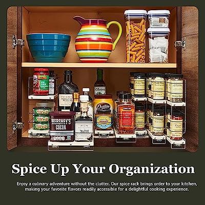 Vertical Spice Combo Spice Rack Drawer - Pull-Out Kitchen Storage for  Seasoning Jars & Pantry Shelves 