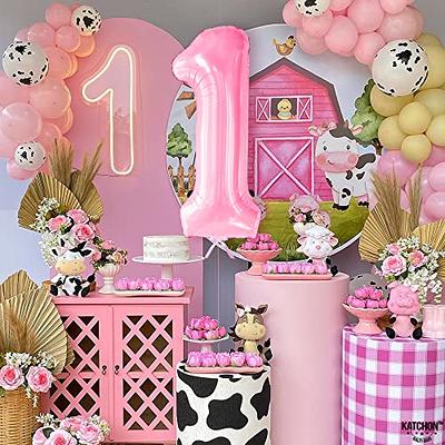 first birthday decorations for girl pink