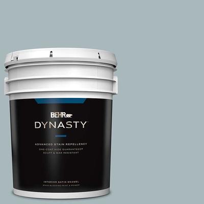 1 gal. #PPU5-11 Delicate Lace Extra Durable Satin Enamel Interior Paint &  Primer