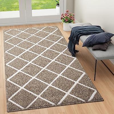 StepLively Door Mat Home Welcome Mats Outdoor and Indoor, Heavy