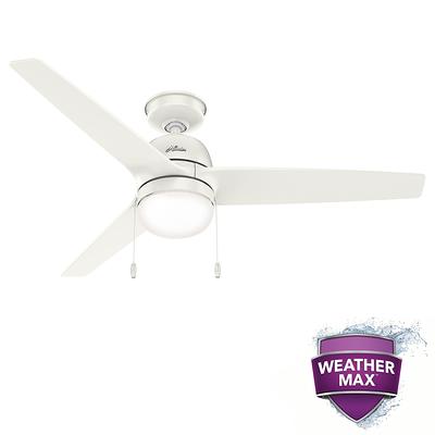 Hunter Sea Wind 48 in. Indoor/Outdoor Matte Black Ceiling Fan