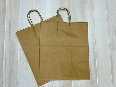 10 Pack 5.25x3.25x8.25 Inch Small Plain Natural Paper Gift Bags with  Handles Bulk, Kraft Bags for Birthday Party Favors Grocery Retail Shopping  Business Goody Craft Bags Cub (Brown 10 Count)(NO.545) 