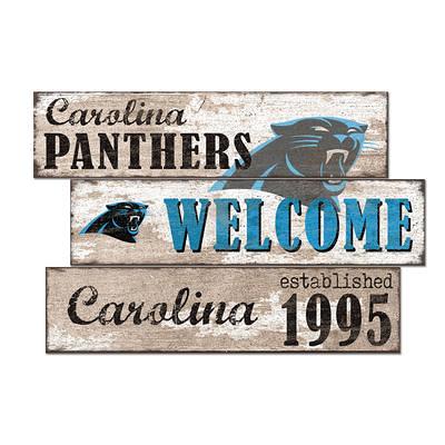 Carolina Panthers 3D Stadium Ornament