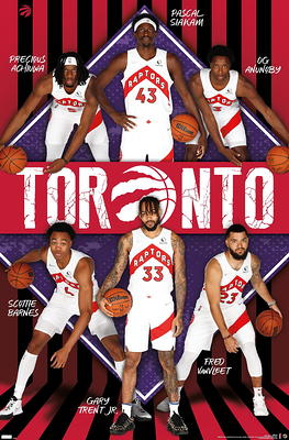 NBA Charlotte Hornets - Logo 20 Wall Poster, 22.375 x 34, Framed 