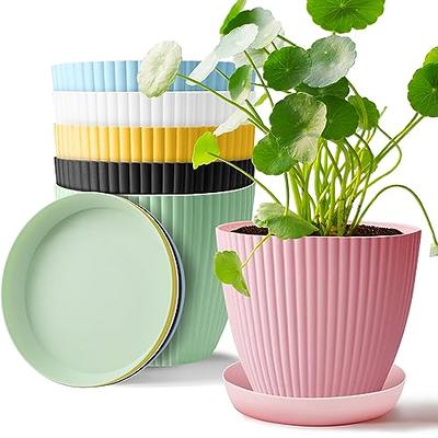 Whonline Plastic Flower Pots, 6 Pack, 7 Inch Gray Pots for Planting with  Drainage Holes and Saucers, Decorative Flower Pots for Indoor Plants  Outdoor