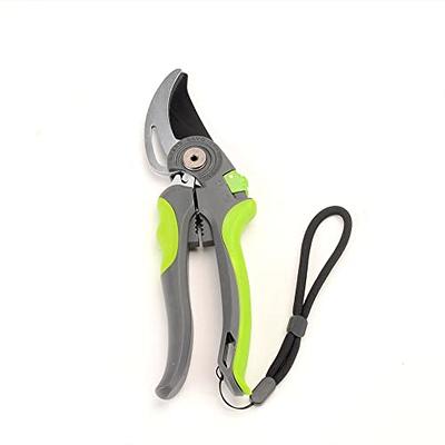 KAJUDA 8 Pruning Shears, Professional Bypass Garden Shear Hand Pruners  Gardening Shears Clippers for Plants, Flower Cutter Florist Scissors  Trimming