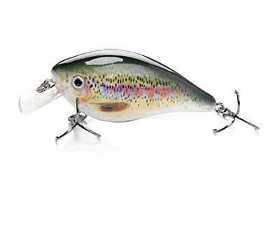 True Pike 5 inch paddle tail swimbait Pack of 6