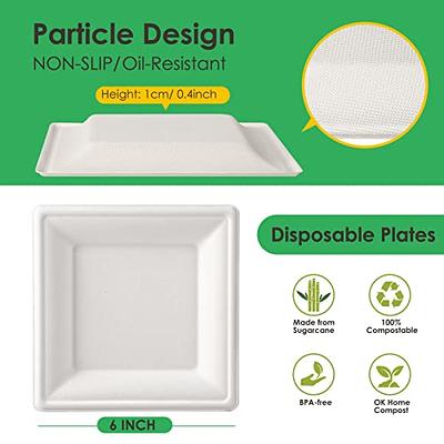 I00000 Heavy Duty 100% Compostable 10 Inch Paper Plates, 100 Pack