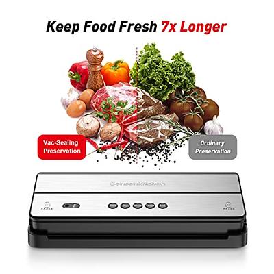 Bonsenkitchen Food Sealer Vacuum Sealer, Built-in Cutter & sealer Bags Rolls  and Starter Kit, Dry&Moist Food Modes, Compact Design Air Sealing System  Portable Vacuum Sealer, Silver - Yahoo Shopping