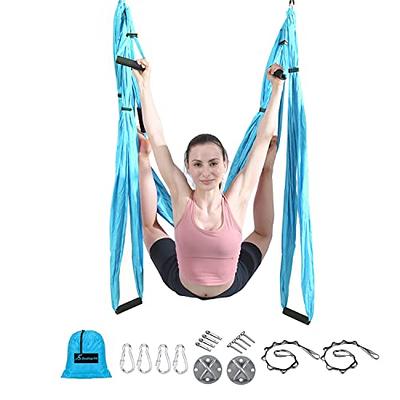 Aerial Yoga Swing Hammock and Trapeze Pro Set with 2 Extension
