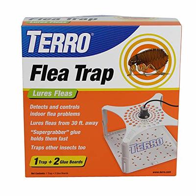 These Best-Selling $6 Terro Fruit Fly Traps Start Working Quickly