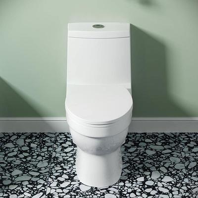 Sublime 1-piece 1.1/1.6 GPF Dual Flush Elongated Toilet in Matte Black,  Seat Included