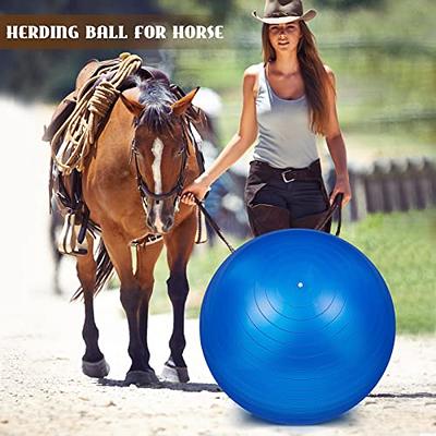 ANC POP Herding Ball for Dogs Horse Ball & Ball Cover 25 Ball for Horses  Large with Hand Pump for Play Herding Ball Herding Ball Horse Toys for