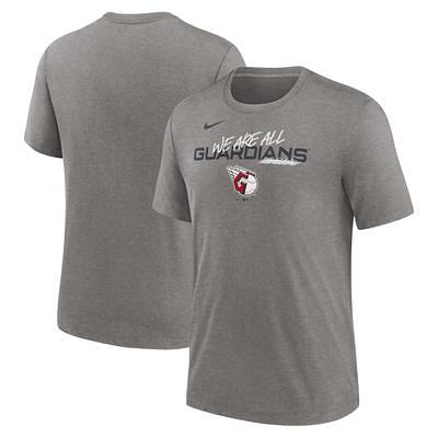 Nike Heather Charcoal St. Louis Cardinals We Are All Tri-blend T-shirt in  Gray for Men