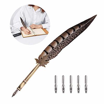 OPENDGO Feather Quill Pen Set with Ink Antique Feather Copper Pen Stem  Calligraphy Set Quill Pen Writing Quill Ink Dip Pen with 5pcs Nibs in  Different