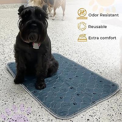  Simple Solution Large Washable Puppy Pad, Reusable Dog Pee Pad, Absorbent and Odor Controlling