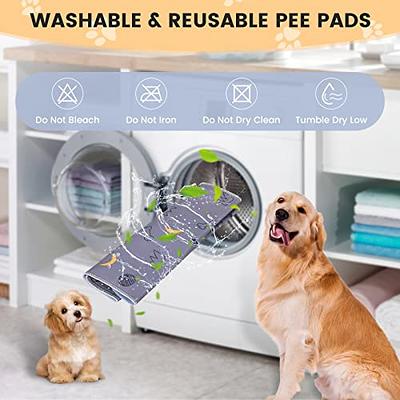 LOOBANI 2 Packs Extra Large Reusable Dog Mat for Floor, Non-Slip Washable  Pee Pads for Dogs, Fast Absorbent Pet Whelping Pads, Puppy Playpen Mat for