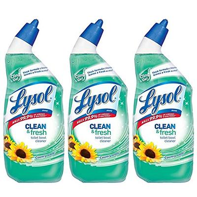 Lysol Power Toilet Bowl Cleaner, 48oz (2X24oz), 10X Cleaning Power