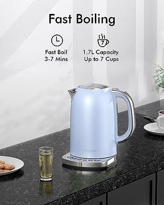 Longdeem Fast-Boiling Electric Tea Kettle - 1.7L Stainless Steel, Cordless,  LED Lit, Pastel Blue with Precise Temperature Control - Yahoo Shopping