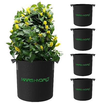 MARS HYDRO 5-Pack 10 Gallon Grow Bags Heavy Duty 400G Thickened Nonwoven  Plant Fabric Pots with Handles - Yahoo Shopping