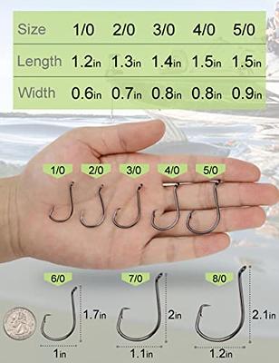 YVUDW Circle Hooks Saltwater Fishing Hooks Catfish Hooks Fish Hook for  Catfishing 100 Pack Sport Circle Hook Offset Fishing Hooks 8 Sizes - Yahoo  Shopping