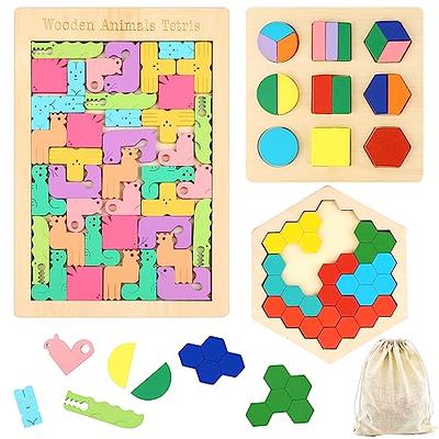 Wooden Puzzle Set for Kids - 3 Pack Brain Teaser Puzzles Games 3D