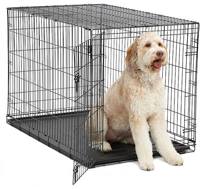 Top Paw Single Door Folding Wire Dog Crate, Size: 30L x 19W 21