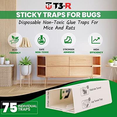 Catchmaster Mouse and Insect Glue Boards, 75-Pack Mouse Traps Indoor for  Home, Sticky Pest Control Adhesive for Catching Bugs, Rats & Rodents, Non