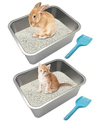 Mifoci 30 Pcs Small Litter Box for Kittens 9.65 x 7.28 x 0.98 Inches Kitten  Litter