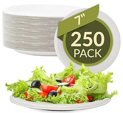 MIDOFELD 7 Inch Small Paper Plates - [125-Pack] Heavy Duty Dessert Paper  Plate Eco Friendly Made from Sugarcane Fiber - Microwable Sturdy Party  Plate