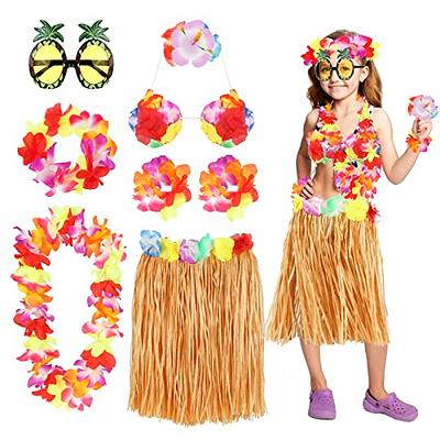 Tigeen 6 Pcs Coconut Bra Hawaiian Grass Hula Skirt Costume Set Dance Leis  Outfits for Adult Women Girls Luau Party Supplies (Colorful, 15.7 Inch) :  : Clothing & Accessories