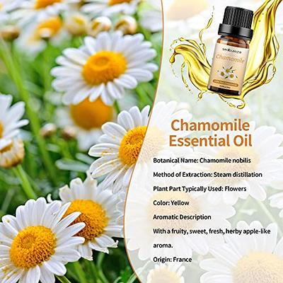 Chamomile Roman 100% Pure Essential Oil