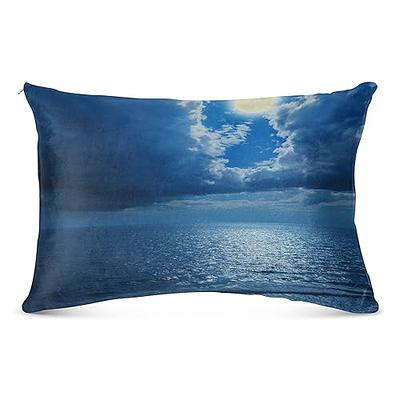 Hidoon Pillow Insert, Cushion Inserts Pillow Polyester Filling