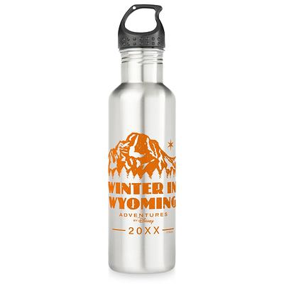 Encanto Stainless Steel Water Bottle with Built-In Straw